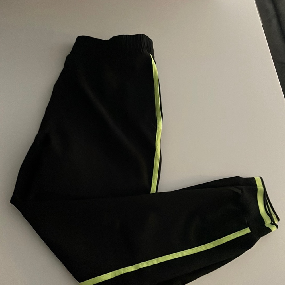 Zara jogger style pant